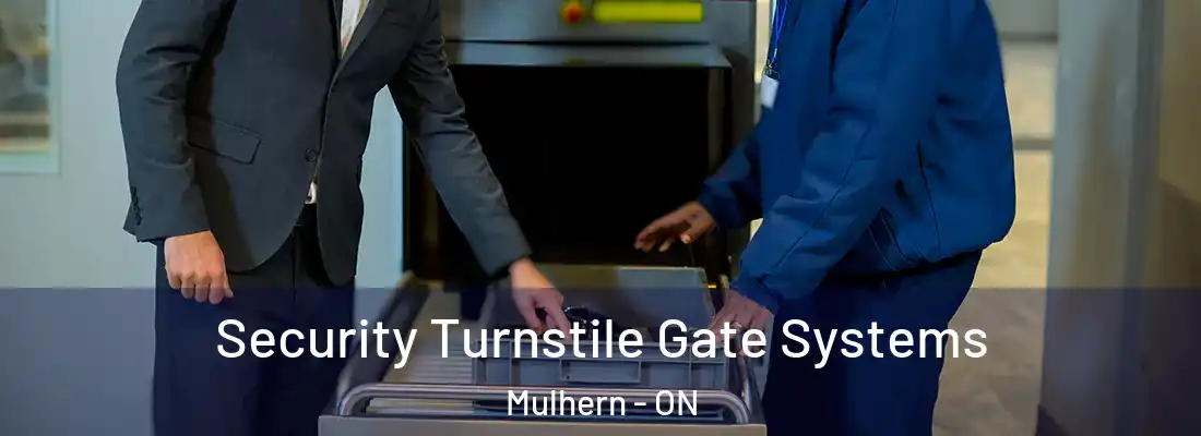  Security Turnstile Gate Systems Mulhern - ON