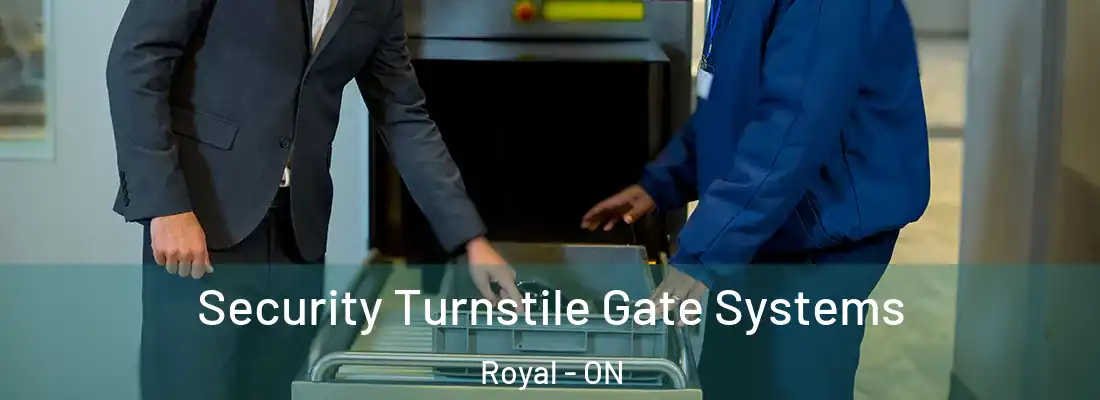  Security Turnstile Gate Systems Royal - ON