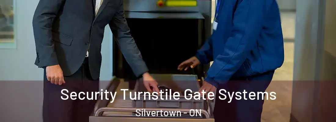 Security Turnstile Gate Systems Silvertown - ON