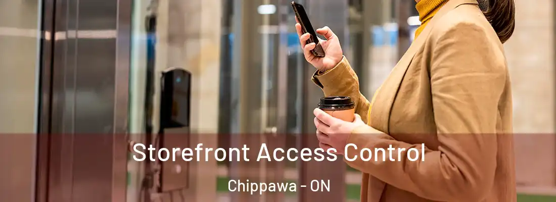  Storefront Access Control Chippawa - ON