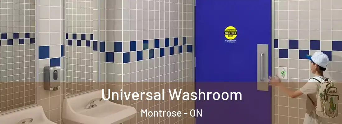  Universal Washroom Montrose - ON