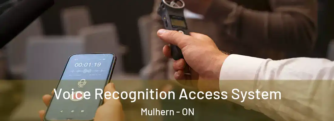  Voice Recognition Access System Mulhern - ON